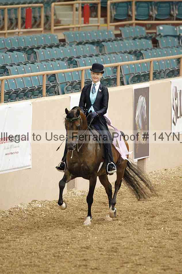 Proof 14yn_02515