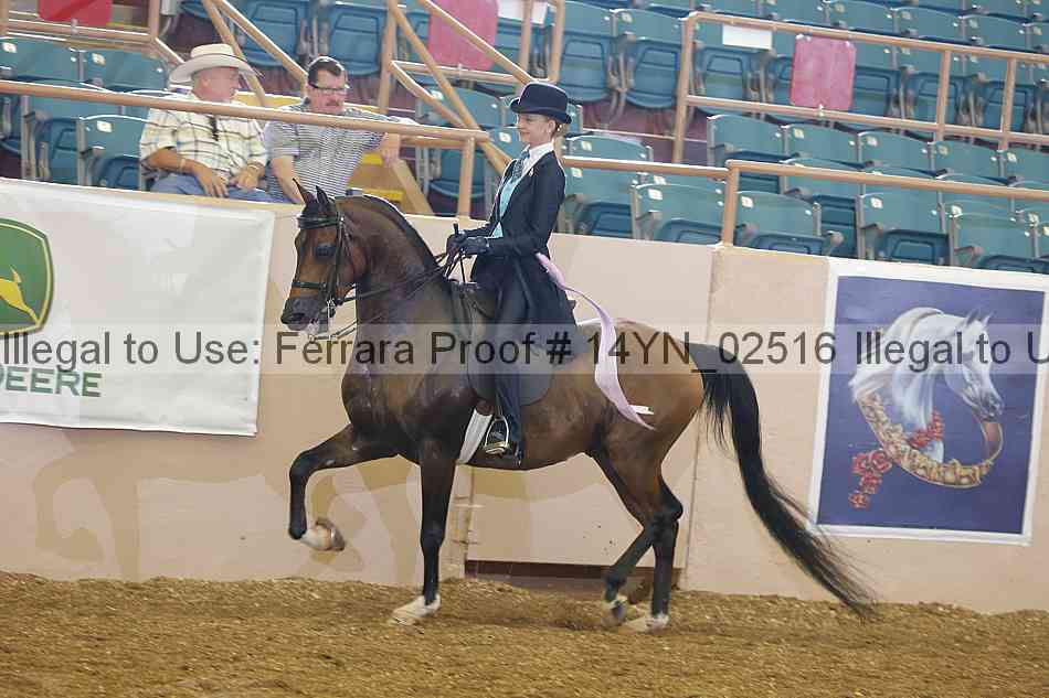 Proof 14yn_02516
