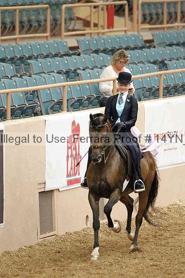 Proof 14yn_02517