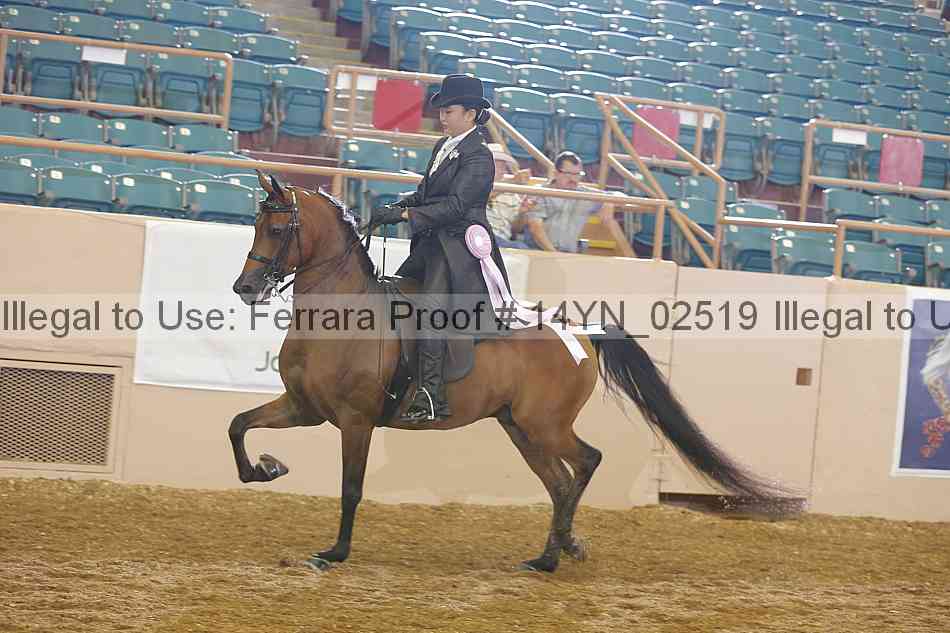 Proof 14yn_02519