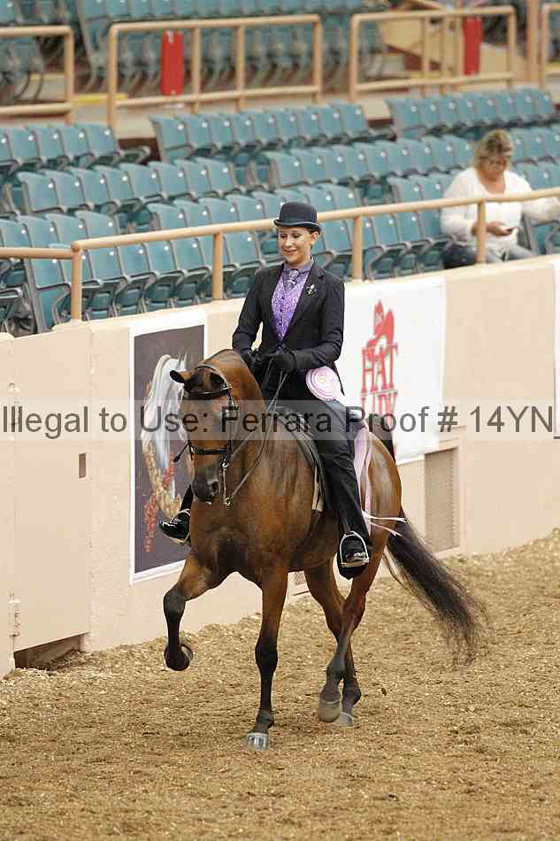 Proof 14yn_02524
