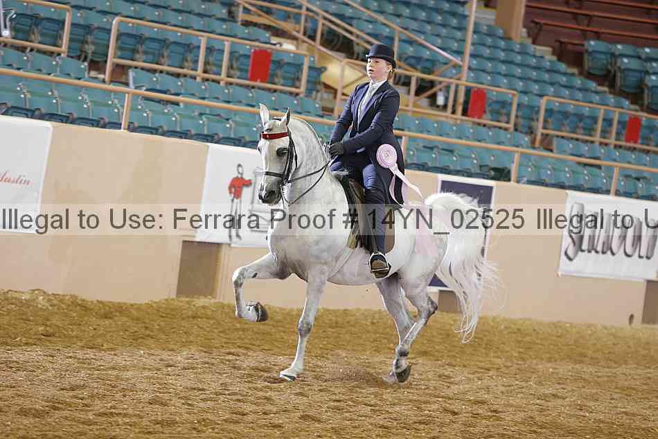 Proof 14yn_02525