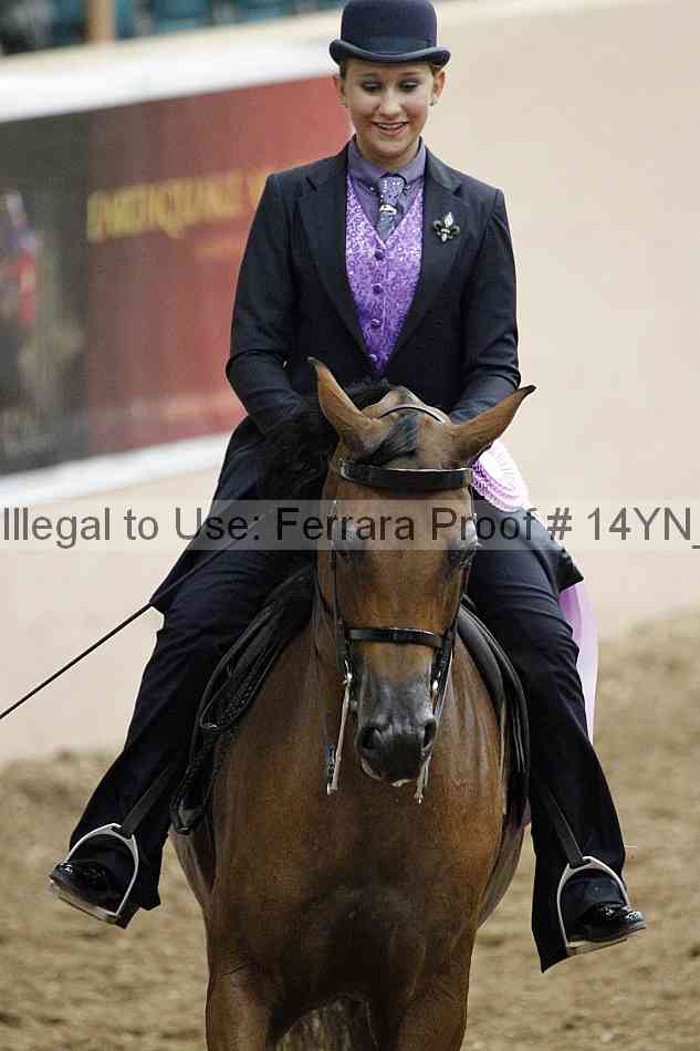 Proof 14yn_02527