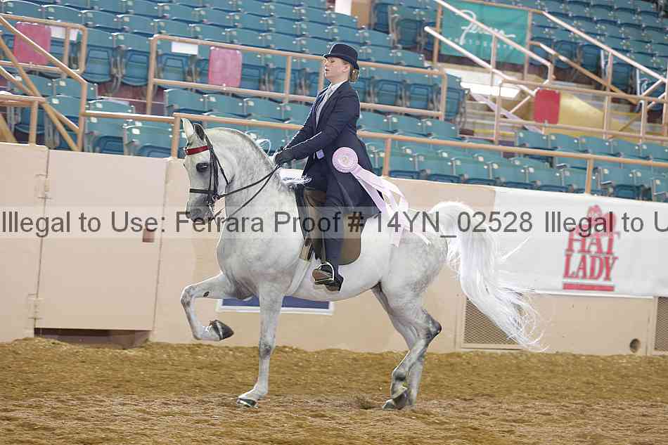 Proof 14yn_02528
