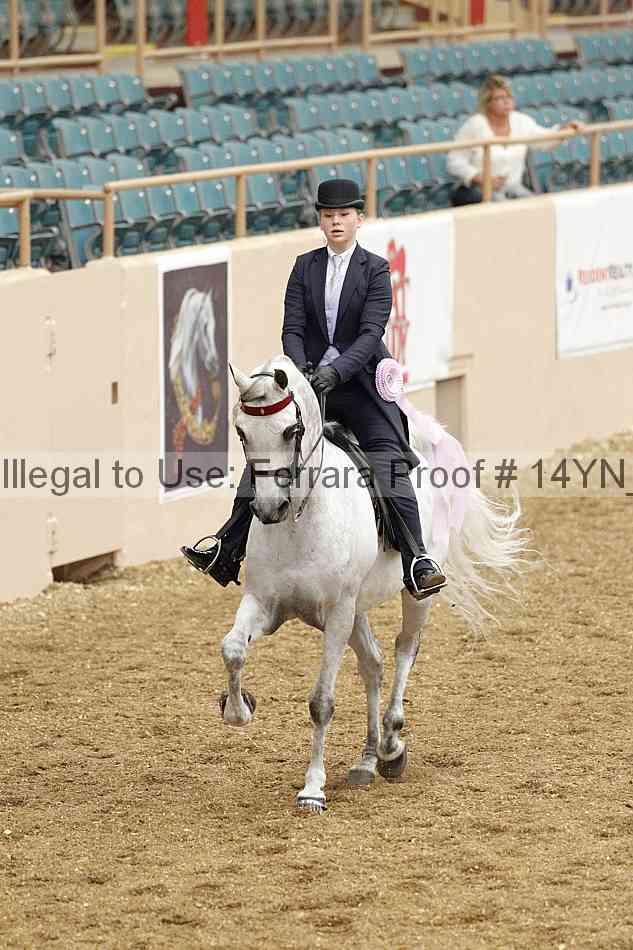 Proof 14yn_02529