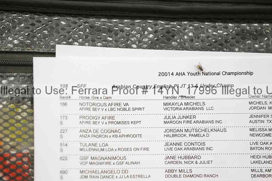 Proof 14yn_17996