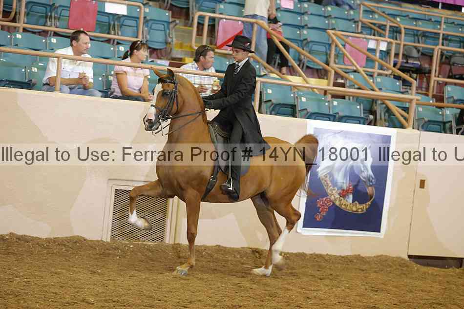 Proof 14yn_18001