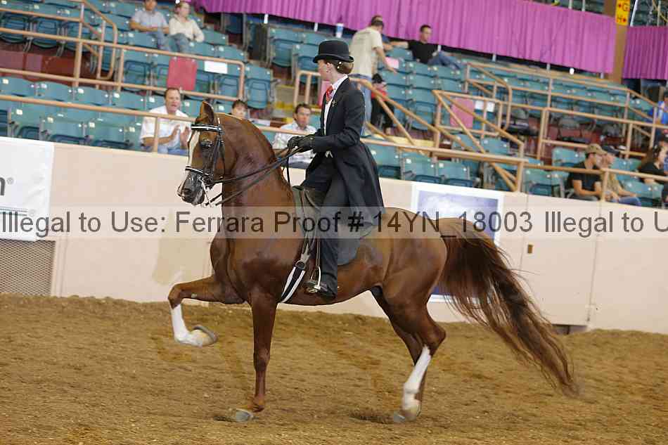Proof 14yn_18003