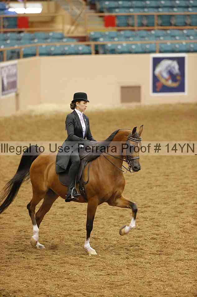 Proof 14yn_18004