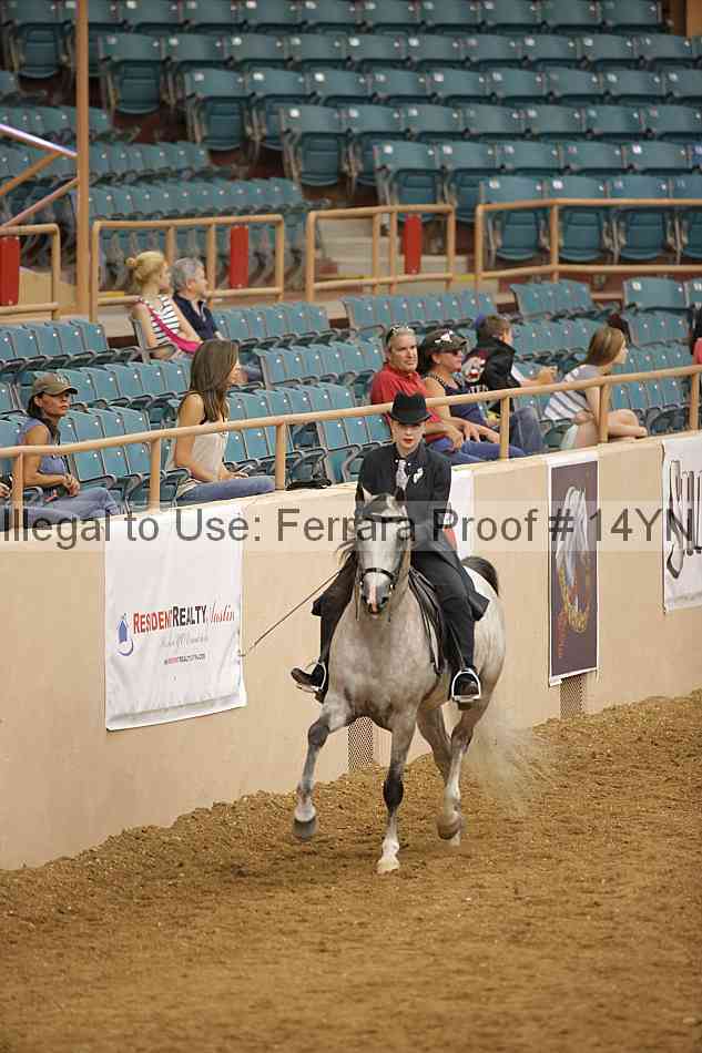 Proof 14yn_18005