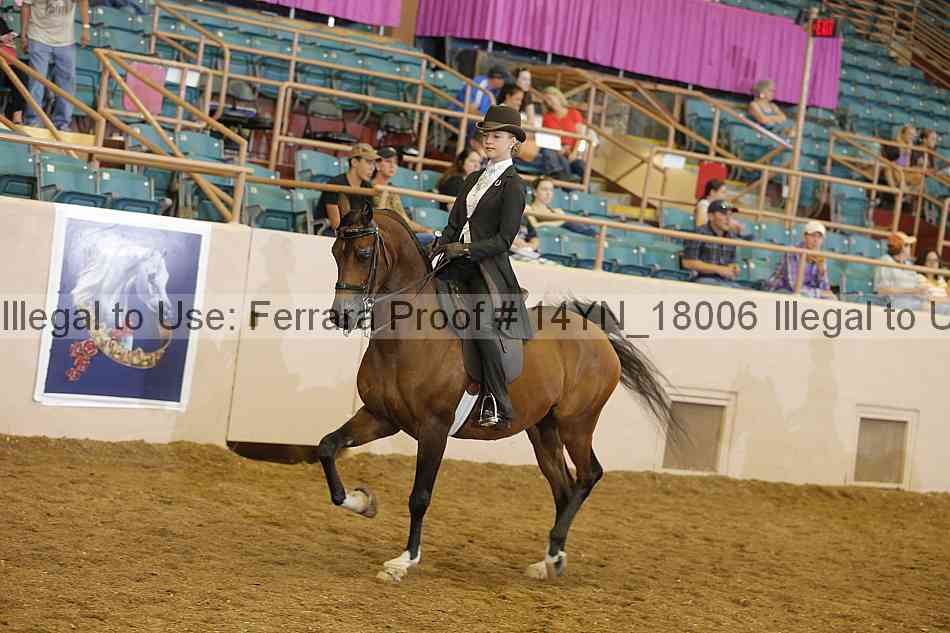 Proof 14yn_18006