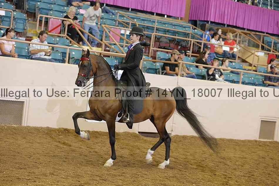Proof 14yn_18007