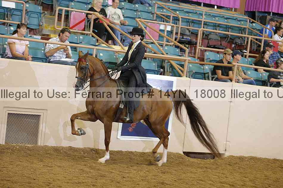 Proof 14yn_18008