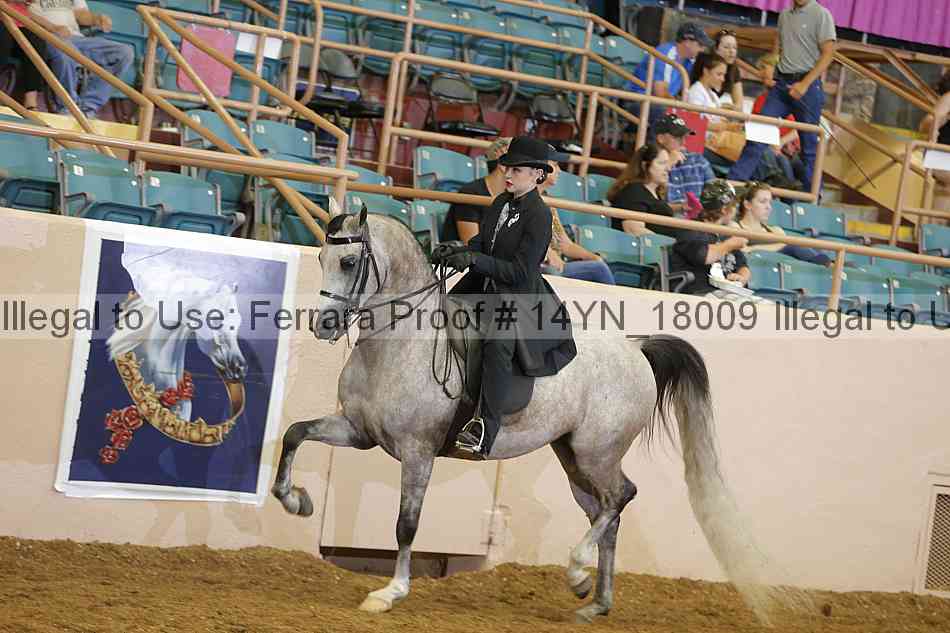Proof 14yn_18009