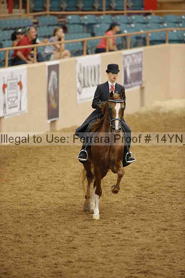 Proof 14yn_18011