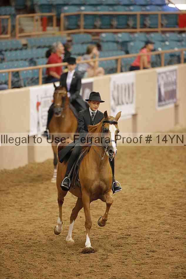 Proof 14yn_18013
