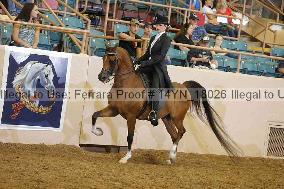 Proof 14yn_18026