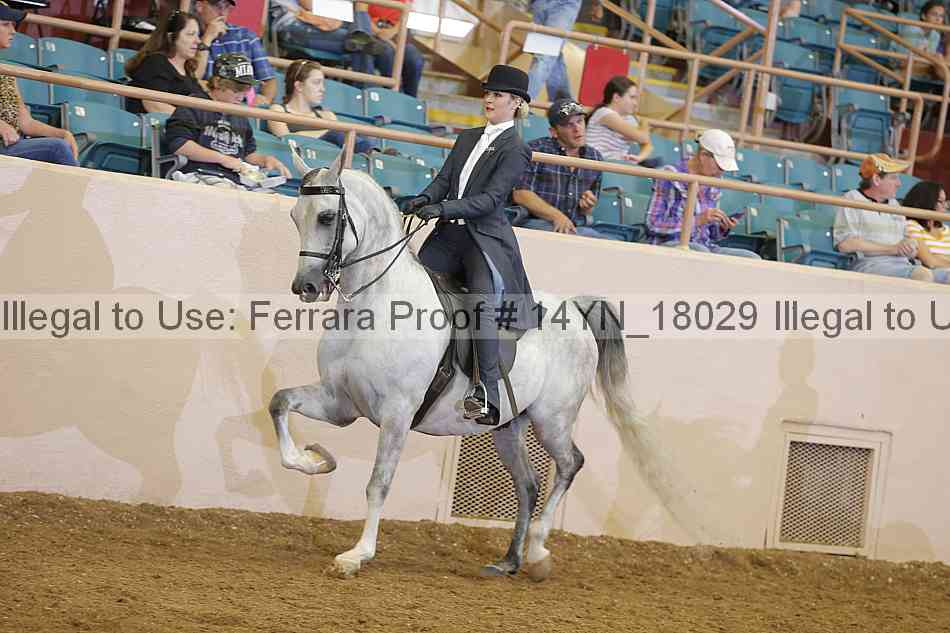 Proof 14yn_18029