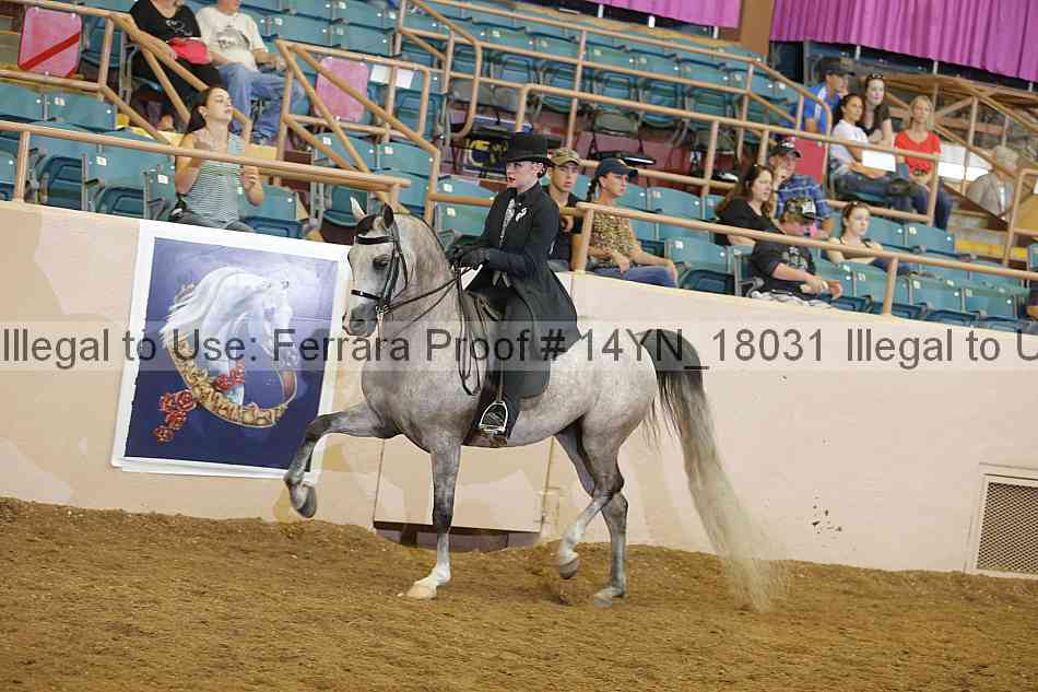 Proof 14yn_18031