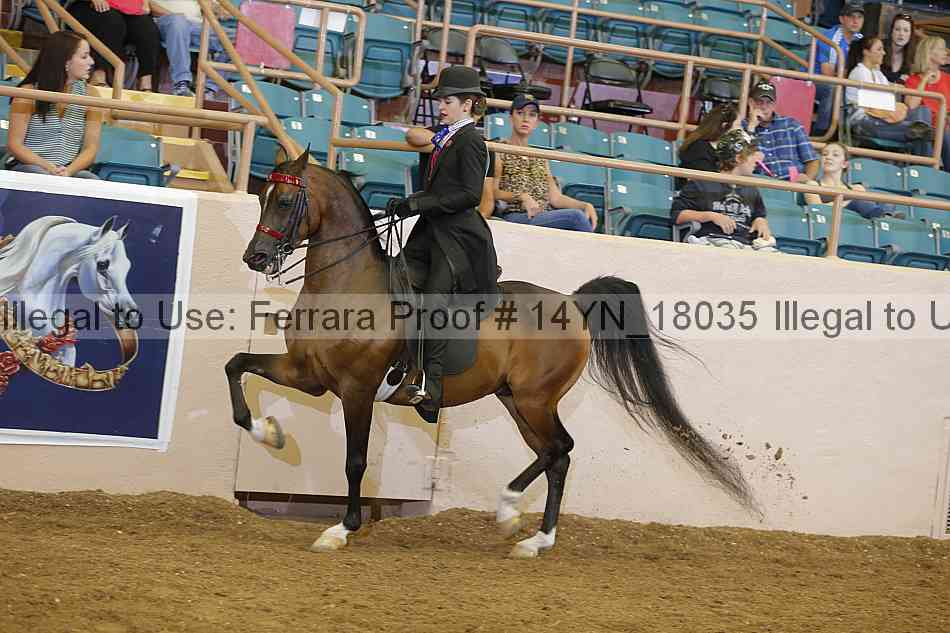 Proof 14yn_18035