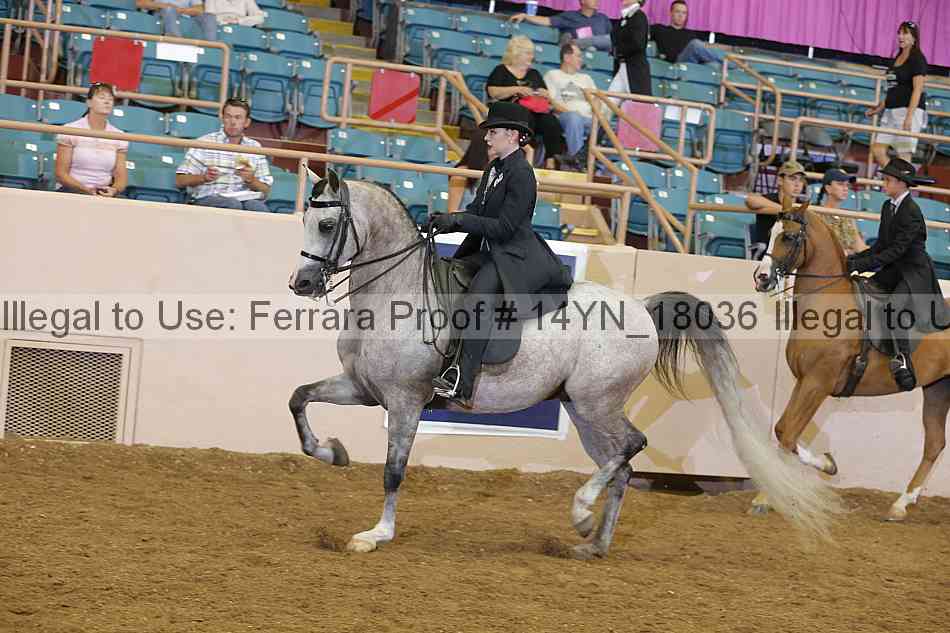 Proof 14yn_18036