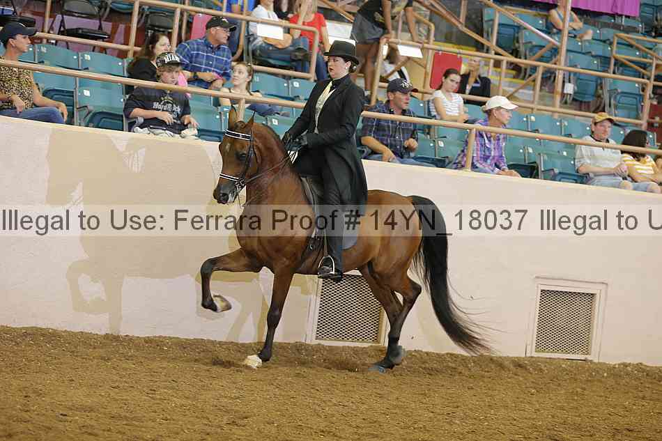 Proof 14yn_18037