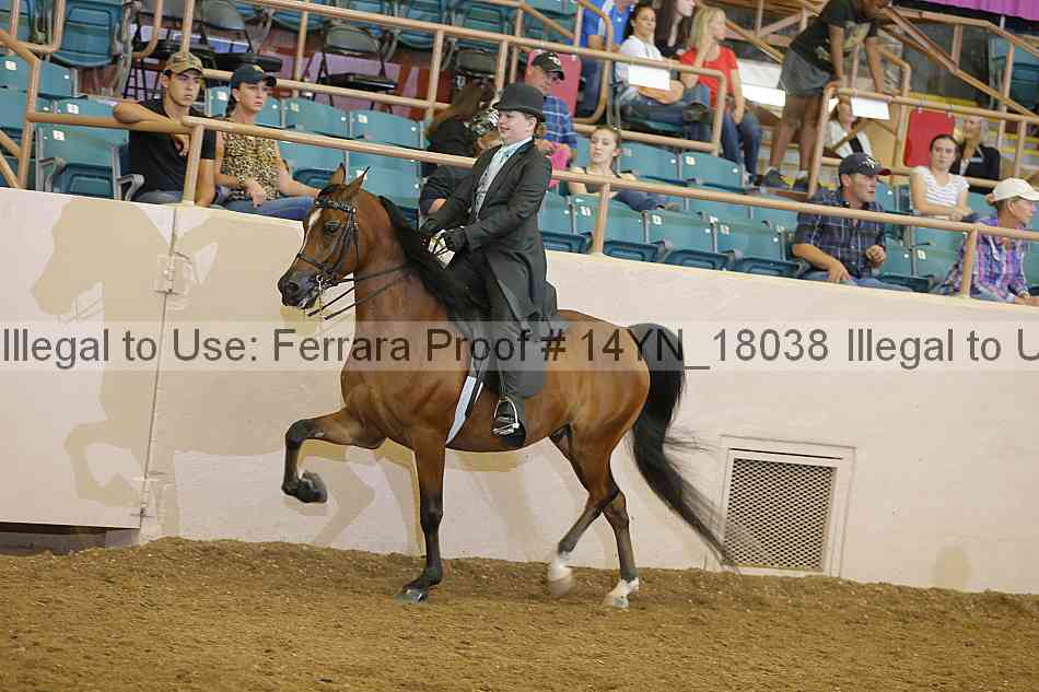 Proof 14yn_18038