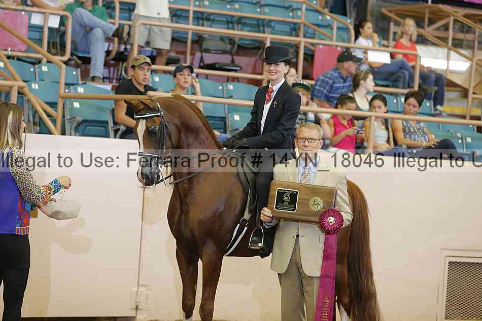 Proof 14yn_18046