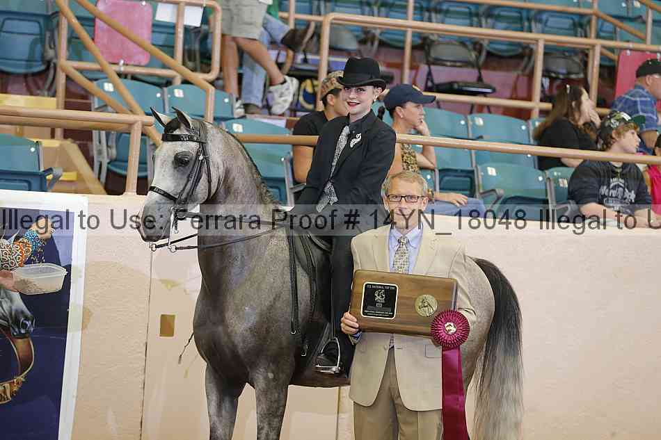 Proof 14yn_18048