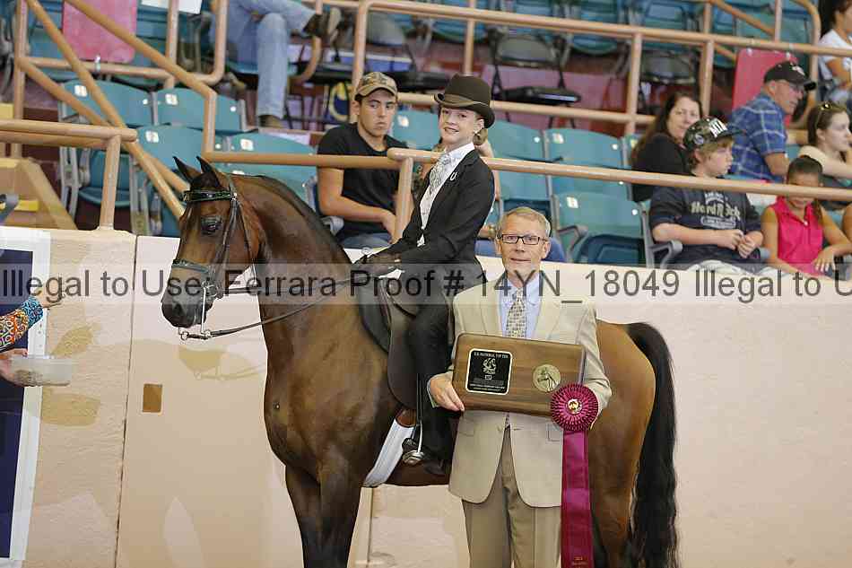 Proof 14yn_18049