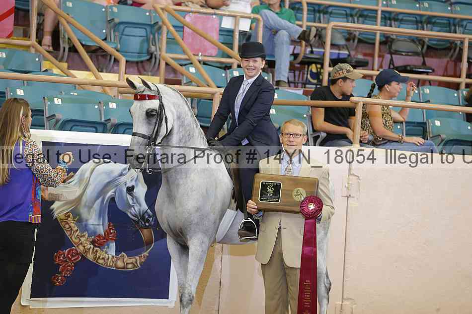 Proof 14yn_18054
