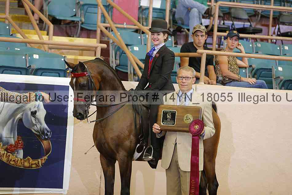 Proof 14yn_18055