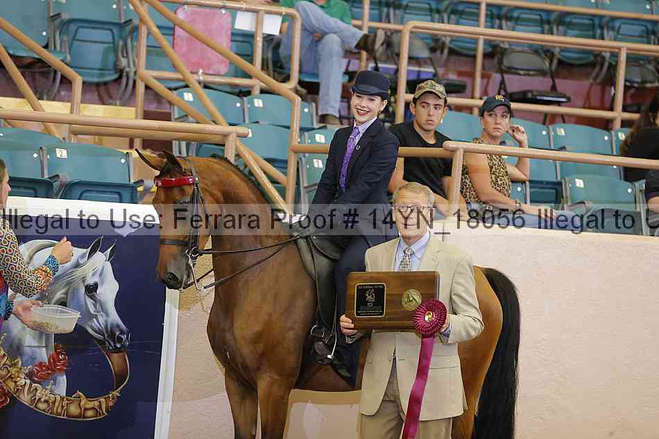 Proof 14yn_18056
