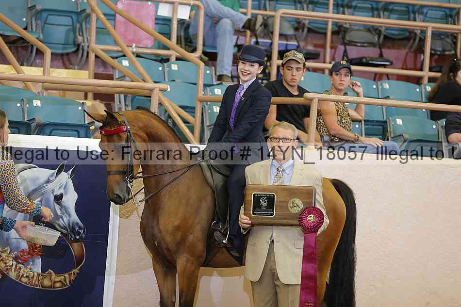 Proof 14yn_18057