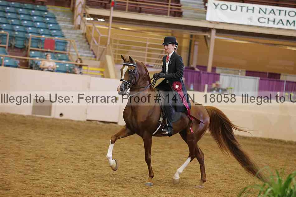 Proof 14yn_18058