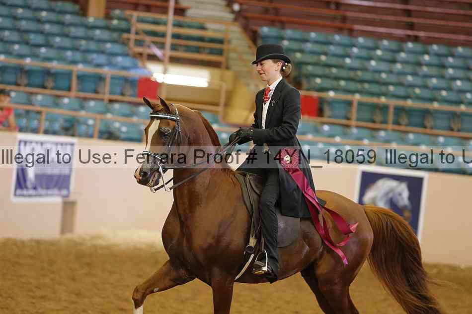 Proof 14yn_18059