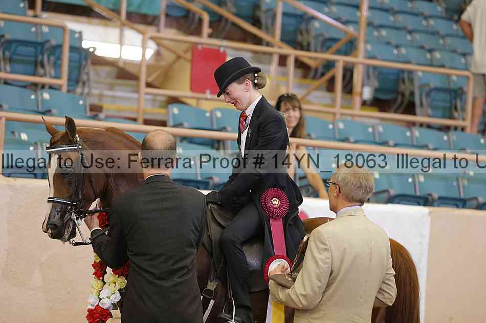 Proof 14yn_18063