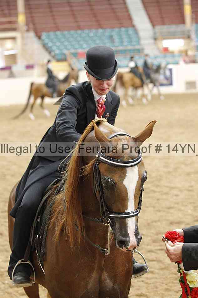 Proof 14yn_18065