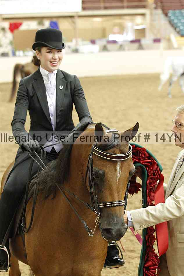 Proof 14yn_18094