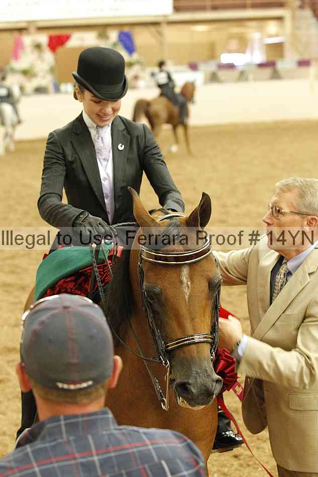 Proof 14yn_18096