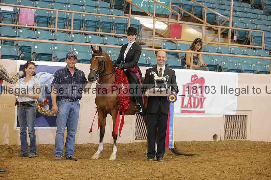 Proof 14yn_18103