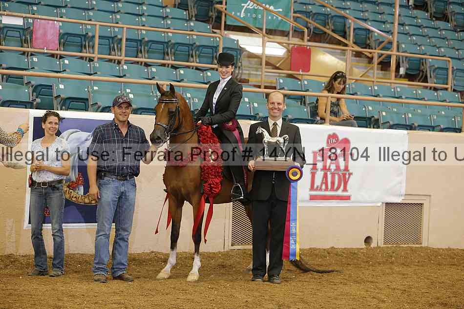Proof 14yn_18104