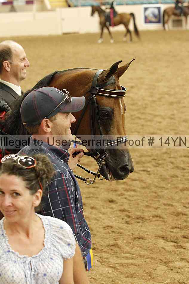Proof 14yn_18105