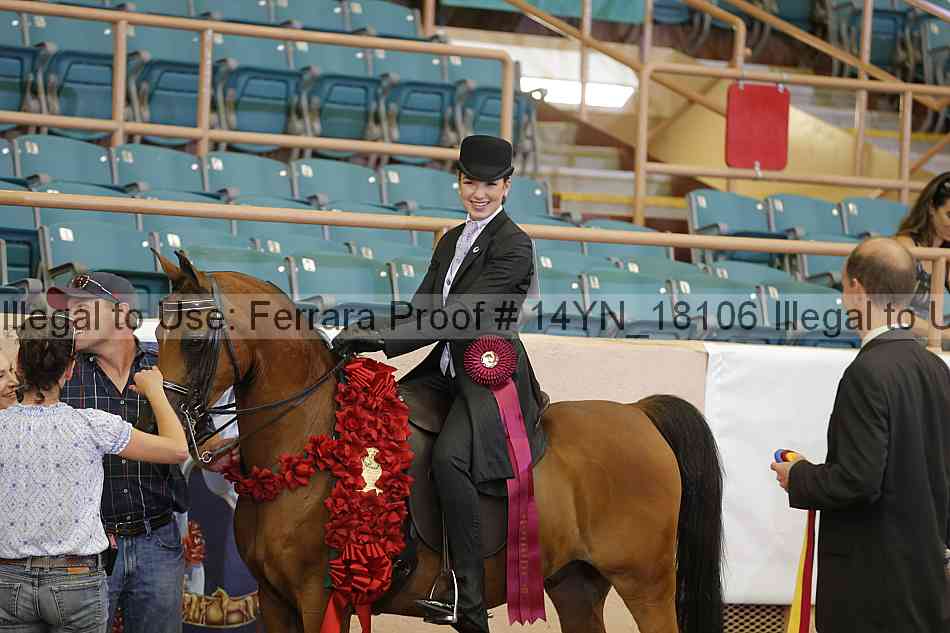 Proof 14yn_18106