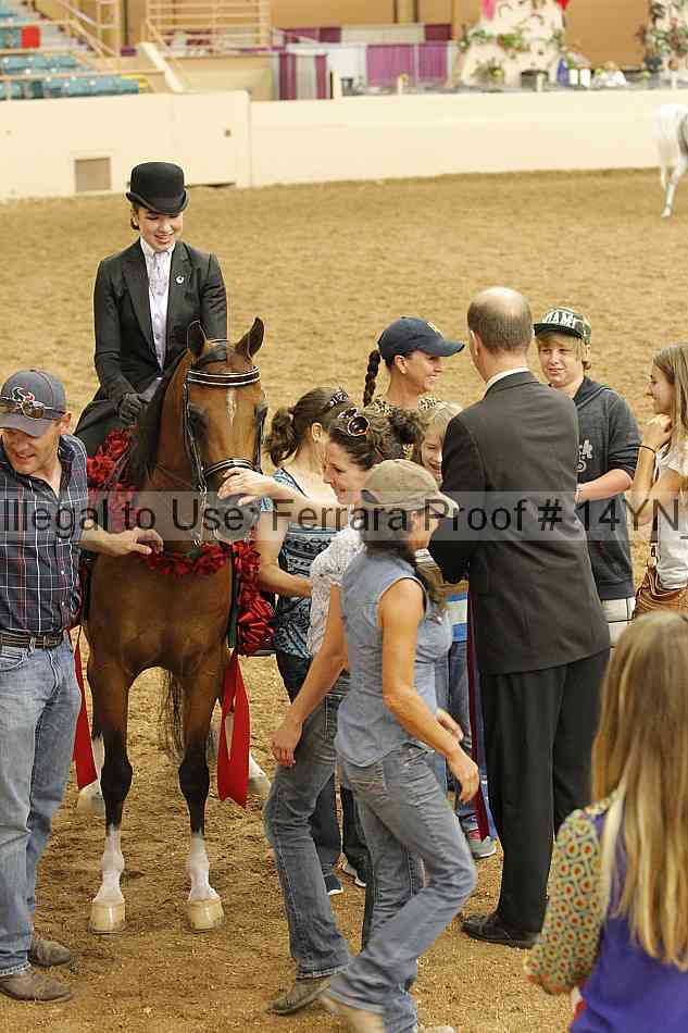 Proof 14yn_18107