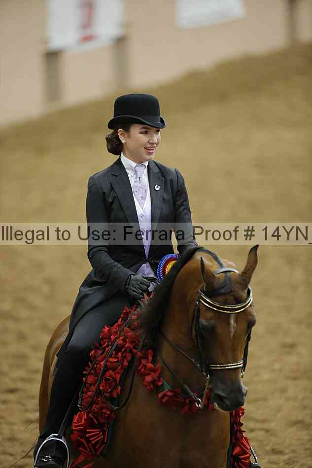 Proof 14yn_18116