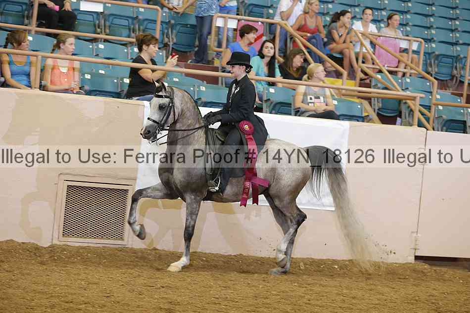 Proof 14yn_18126