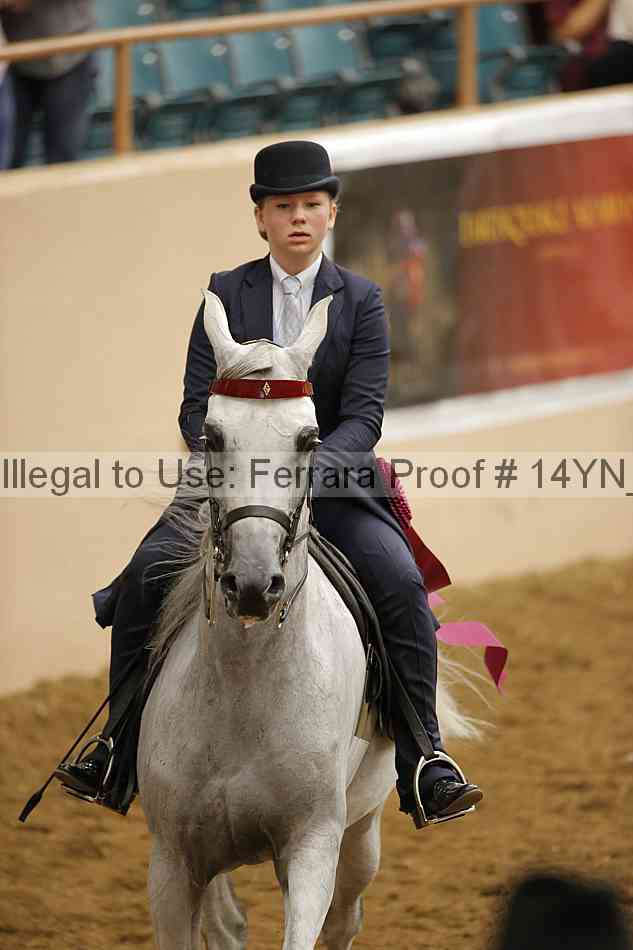 Proof 14yn_18148