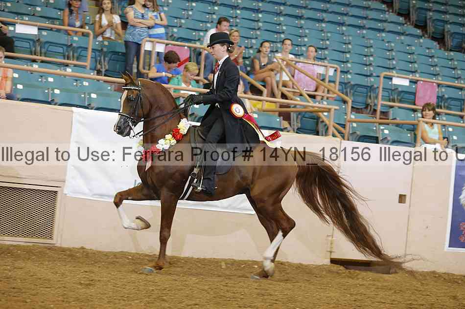 Proof 14yn_18156