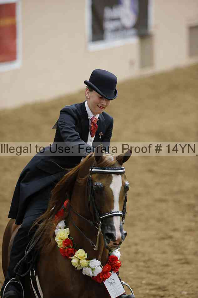 Proof 14yn_18160